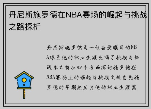 丹尼斯施罗德在NBA赛场的崛起与挑战之路探析