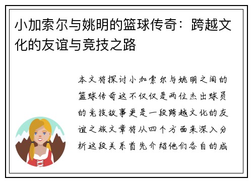 小加索尔与姚明的篮球传奇：跨越文化的友谊与竞技之路